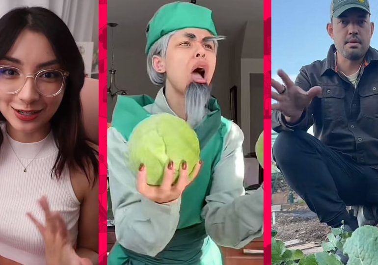 TikTok’s biggest creators imagine what would happen if the app went away