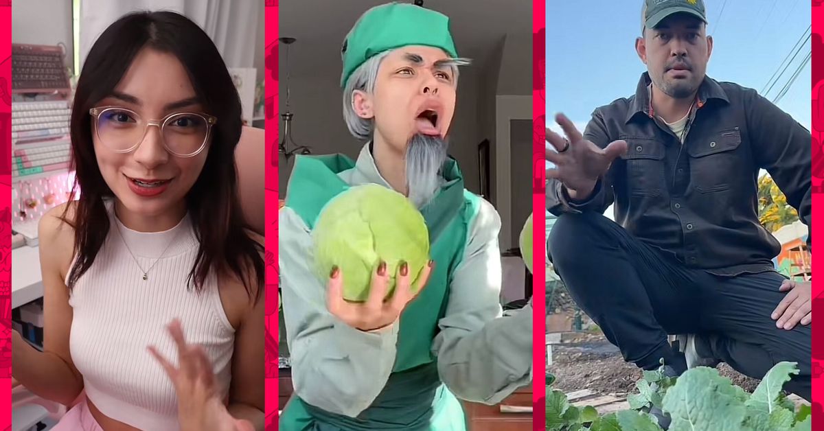 TikTok’s biggest creators imagine what would happen if the app went away