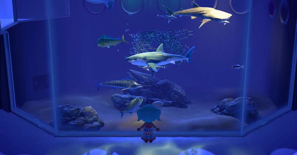 Animal Crossing’s aquarium experience is going on tour — here’s how it works